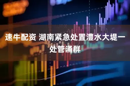速牛配资 湖南紧急处置澧水大堤一处管涌群